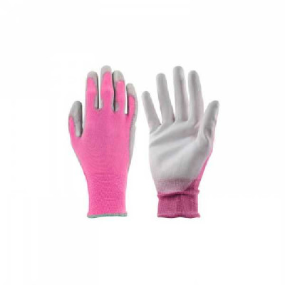 GANT COLORS fushia  AJS BLACKFOX