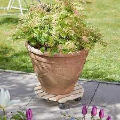 PORTE POTS WOODLAND   SMART GARDEN