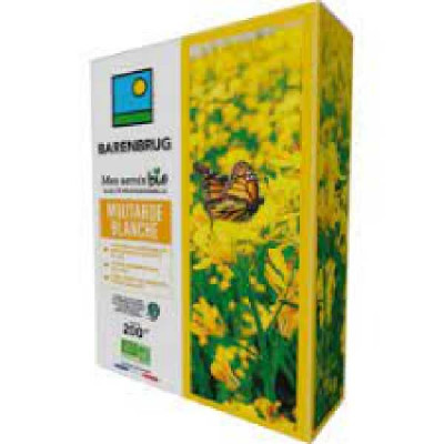 MOUTARDE BLANCHE BIO   BARENBRUG