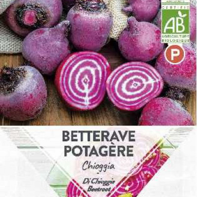 BETTERAVE POTAGERE CHIOGGIA  P TURC