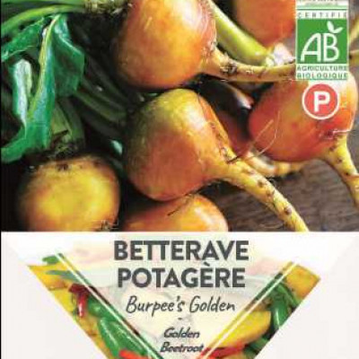 BETTERAVE POTAGERE BURPEES GOLDEN  P TURC