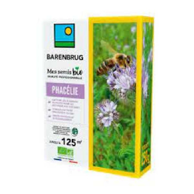 PHACELIE  BIO BARENBRUG