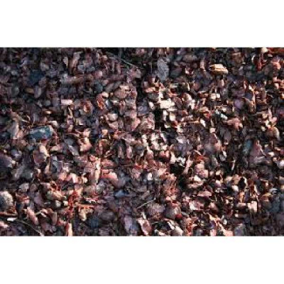 COQUES DE CACAO   VIAVAC