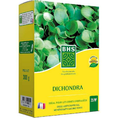 DICHONDRA   BHS