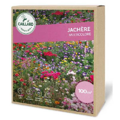 JACHERE MULTICOLORE  caillard