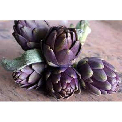 ARTICHAUT  Violet de provence