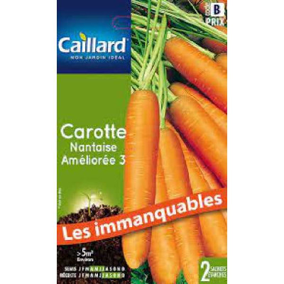 CAROTTE NANTAISE AMELIOREE 3  B CAILLARD