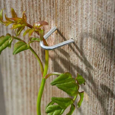 CAVALIER GALVANISED STAPLES 25 mm Par 100 SMART GARDEN