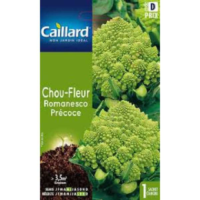 CHOU FLEUR ROMANESCO PRECOCE  D CAILLARD