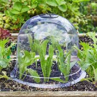 CLOCHE   SMART GARDEN
