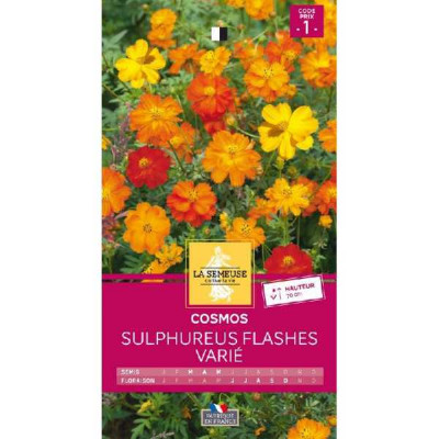 COSMOS SULPHUREUS FLASHES VARIE  Code prix 1 La Semeuse