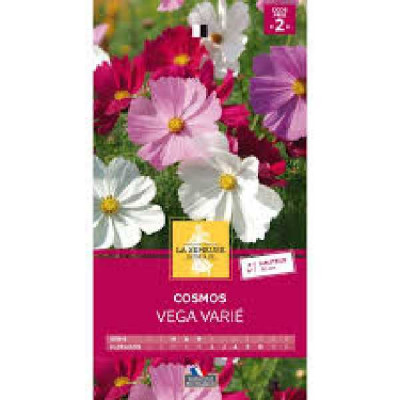 COSMOS VEGA VARIE  Code prix 2 La Semeuse
