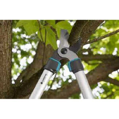 COUPE BRANCHES TELECUT   Gardena