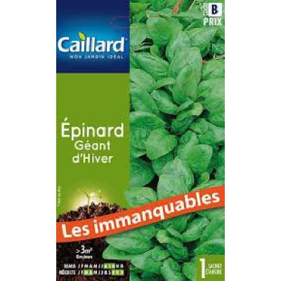 EPINARD GEANT D'HIVER  B CAILLARD