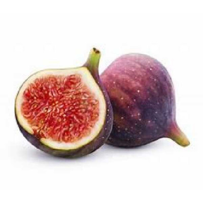 FICUS carica Rouge