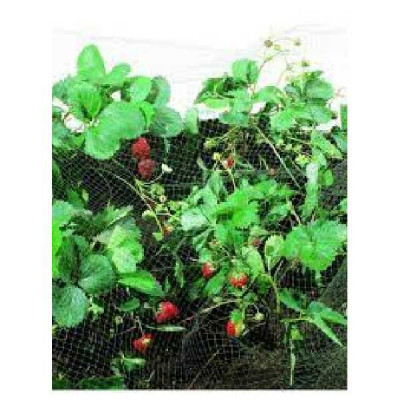 FILET DE PROTECTION  10x10 Jany