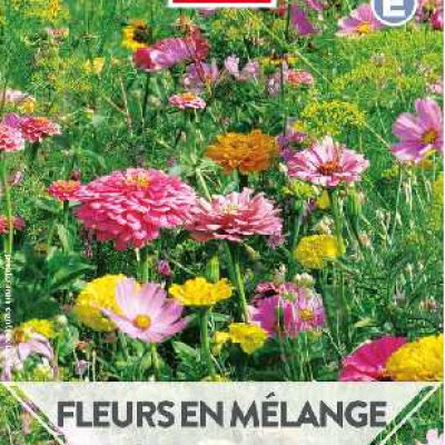 FLEURS EN MELANGE DOUCEUR ANGEVINE  E TURC