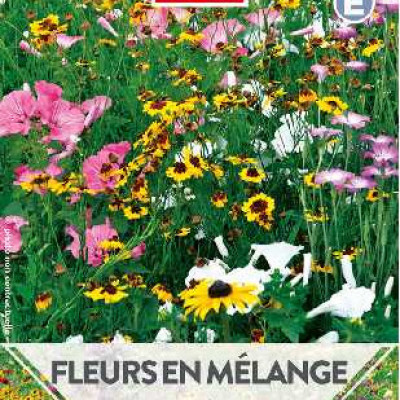 FLEURS EN MELANGE MILIEU HUMIDE  E TURC