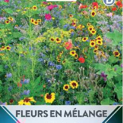 FLEURS EN MELANGE MIEL ET PAPILLONS  D TURC