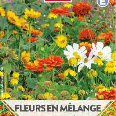 FLEURS EN MELANGE TAPIS ORANGE ECLAIR  E TURC