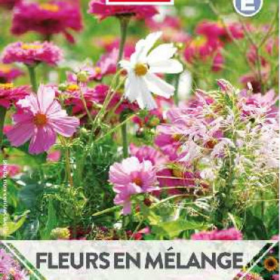 FLEURS EN MELANGE TAPIS ETERNEL FEM  E TURC