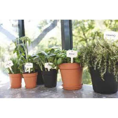 GB ETIQ A PLANTER S blanc  ELHO
