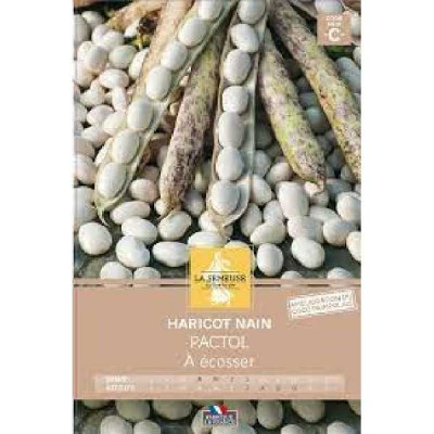 HARICOT PACTOL NN ECOSSER  Code prix c La Semeuse