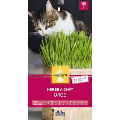 HERBE A CHAT  Code prix 1 La Semeuse