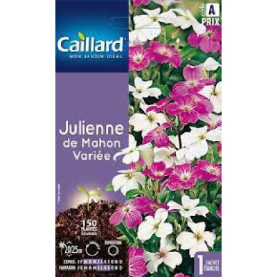 JULIENNE DE MAHON VARIEE  A CAILLARD