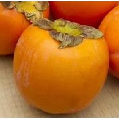 KAKI DIOSPYROS  Red brillante