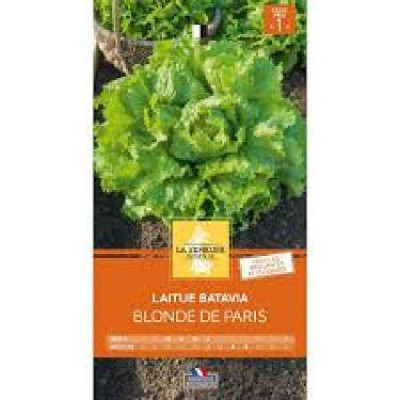 LAITUE BATAVIA BLONDE DE PARIS  Code prix 1 La Semeuse