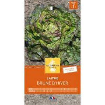 LAITUE BRUNE D HIVER  Code prix 1 La Semeuse