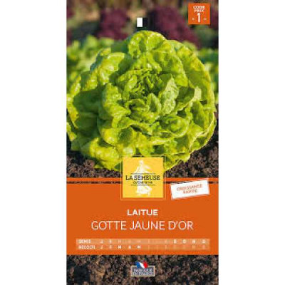 LAITUE GOTTE JAUNE D OR  Code prix 1 La Semeuse