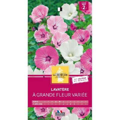 LAVATERE A GRANDE FLEUR VARIE  Code prix 2 La Semeuse