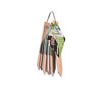 LOT DE 10 ETIQUETTES BOIS  15 cm Jany