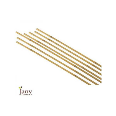 LOT DE 7 TUTEURS BAMBOU NATUREL  Diam 6/8 h 0,60m Jany