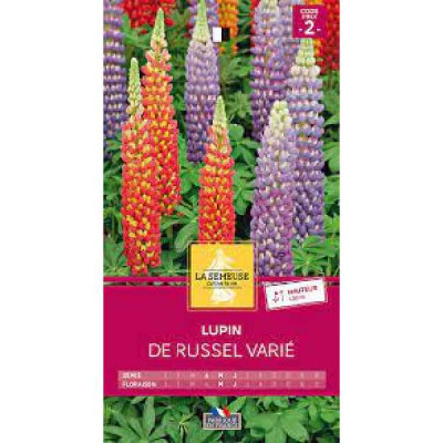 LUPIN DE RUSSEL VARIE  Code prix 2 La Semeuse