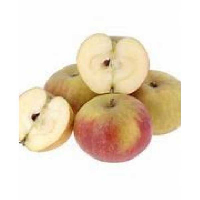 MALUS domestica Suntan