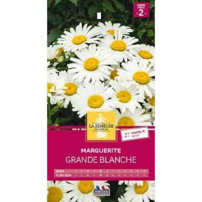 MARGUERITE GRANDE BLANCHE  Code prix 2 La Semeuse
