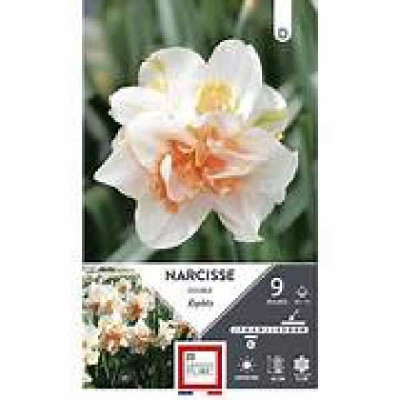 NARCISSE DOUBLE REPLETE 12/14 X9  D TURC