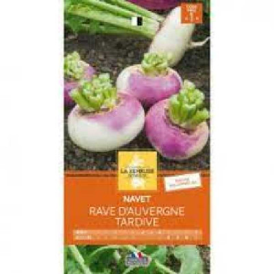 NAVET RAVE D AUVERGNE TARDIVE  Code prix 1 La Semeuse