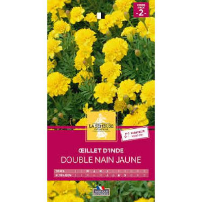 OEILLET D INDE DOUBLE NAIN JAUNE  Code prix 2 La Semeuse