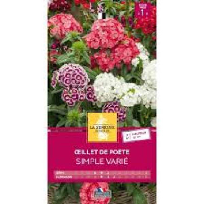 OEILLET DE POETE SIMPLE VARIE  Code prix 1 La Semeuse