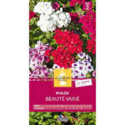PHLOX BEAUTE VARIE  Code prix 2 La Semeuse