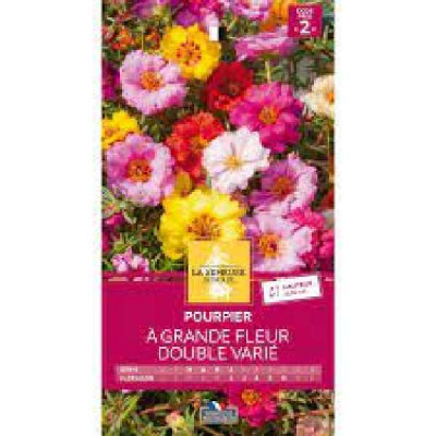 POURPIER A GRANDE FLEUR DOUBLE VARI  Code prix 2 La Semeuse