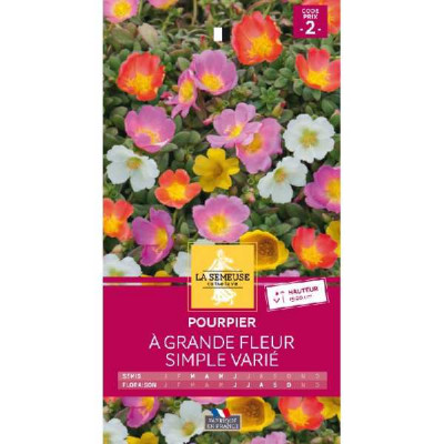 POURPIER A GRANDE FLEUR SIMPLE V  Code prix 2 La Semeuse