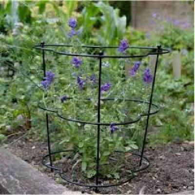 TUTEUR CONE 30CM GRO-CONE WITH 75CM   SMART GARDEN