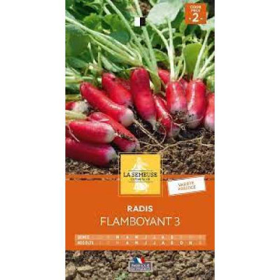 RADIS FLAMBOYANT 3  Code prix 2 La Semeuse