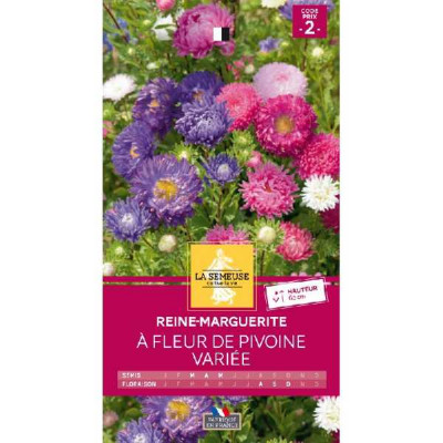 REINE-MARGUERITE A FLEUR DE PIVO  Code prix 2 La Semeuse