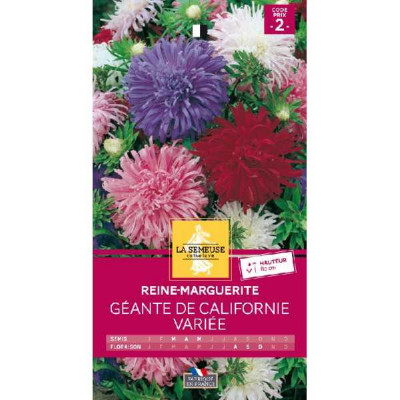 REINE-MARGUERITE GEANTE DE CALIF  Code prix 2 La Semeuse
